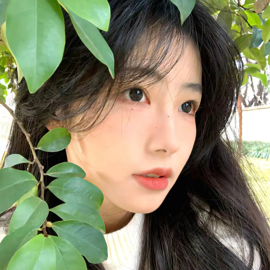 活动写真 封面